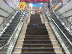 -武汉大学附属爱尔眼科医院(湖北总院)