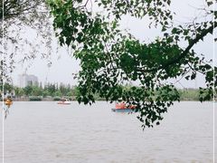 -上海长兴岛郊野公园