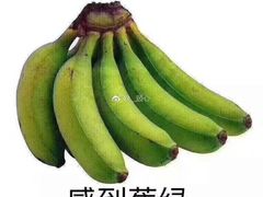 -德天下自助水饺(海洪店)