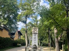 -灵谷景区