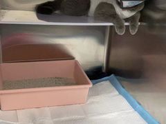 -拜鲁耶动物诊疗中心·宠家动物医院