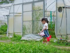 -前小桔亲子创意农场·草莓采摘·露营烧烤