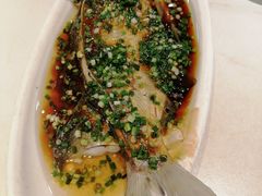 -刘胖子家常菜·蹄花焖藕(江汉路总店)