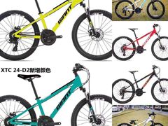 -GIANT捷安特自行车专卖店(金桥台儿庄路店)