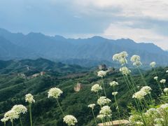 -蟠龙山长城景区