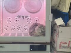 -瑞鹏宠物医院·夜间急症·心超·猫科(祖庙分店)