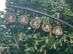 -中国科学院西双版纳热带植物园