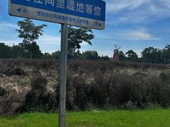 -同里国家湿地公园