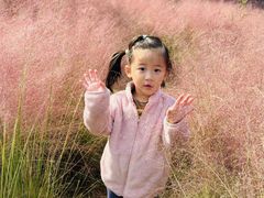 -昆山城市生态森林公园