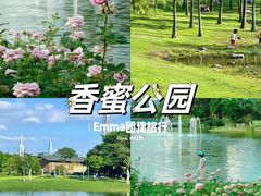 -香蜜公园