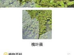 -拙政园