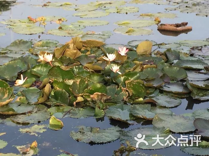 宝生园农场-图片-厦门周边游-大众点评网