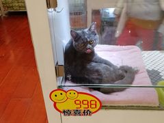 -凯德广场(武胜路店)