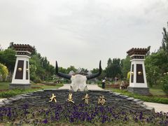 -武清南湖绿博园