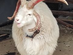 -瑞博尔花园酒店(太周创新产业园店)