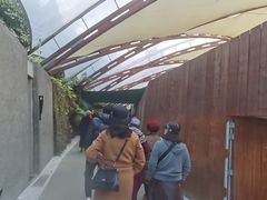 -怀托摩萤火虫洞