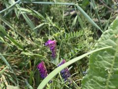 -汉长安城未央宫国家考古遗址公园