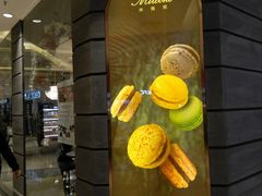 -米洛克欧洲蛋糕(西南路店)