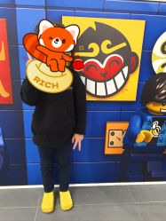 -乐高品牌旗舰店(人民广场店)