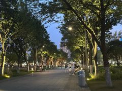 -映月湖中央公园