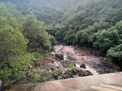 -广州白江湖森林公园