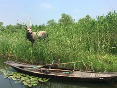 -溱湖国家湿地公园