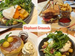 -Elephant Grounds(STARSTREET)
