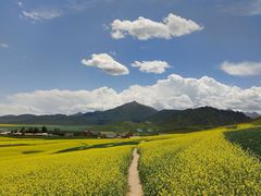 -扁都口生态休闲旅游区