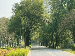 -顺峰山公园