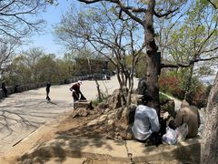 -紫金山山顶公园