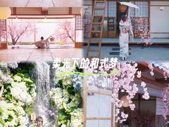 -Blue Concept Cafe&Farm·關於藍