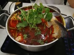 酸汤鱼火锅-泉味道贵州厨房(三里河店)