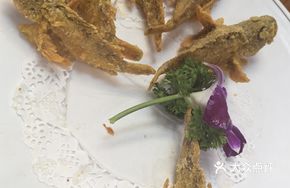 Salt and Pepper Tiger Fish