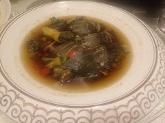 -龙悦湾酒家·八阵鱼生·渔人码头店
