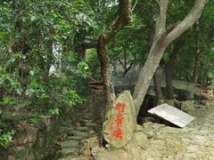 -雨花胜境