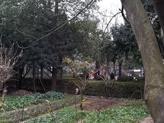-故乡缘·香格里拉山庄(冷竹路店)
