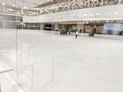 -TheRink大零溜冰场(IFS国金中心店)