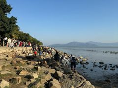 -深圳湾公园(南山区)