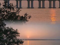 -宝安西湾红树林湿地公园