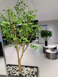 -付军剪艺JF ProSalon
