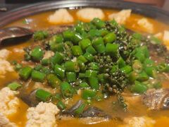 -探鱼·鲜青椒爽麻烤鱼(北京路天河城店)