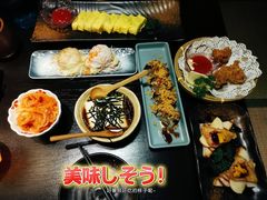 -春草居酒屋·晴子の店