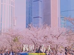 -西北湖绿化广场