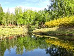 -大兴滨河森林公园