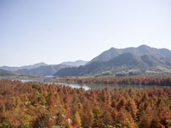-绩溪龙川景区