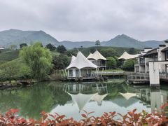 -帐篷客·溪龙茶谷度假酒店