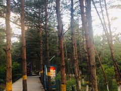 -帽儿山国家森林公园