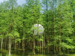 -青山湖景区