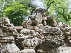 -莲湖公园