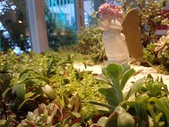 -春树下·树屋花房西餐厅(罍街AS1980店)